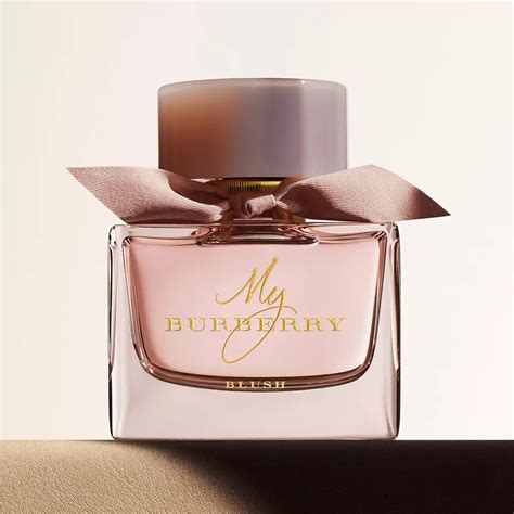 burberry perfumes review|which burberry scents smells best.